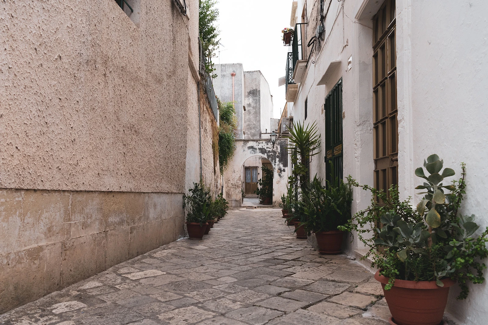 A quiet lane lined with plants in the historic centre of Soleto